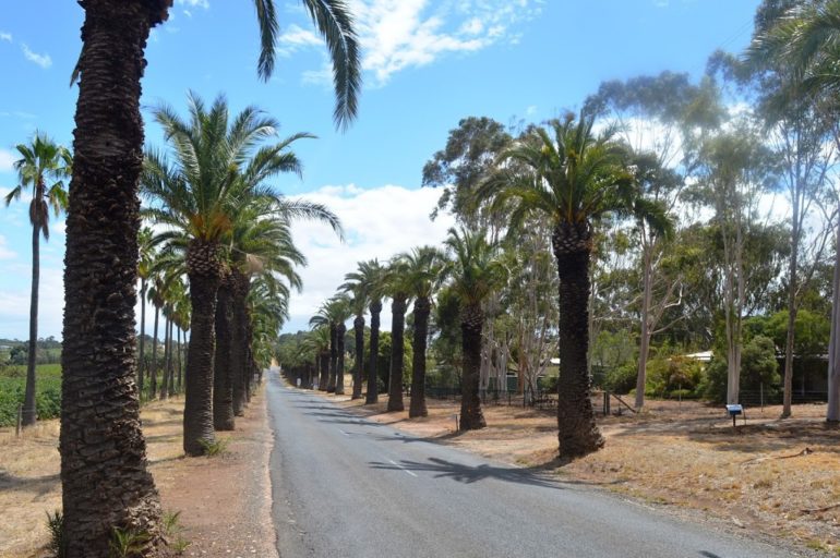 Autostrada del Sole w nowej odsłonie